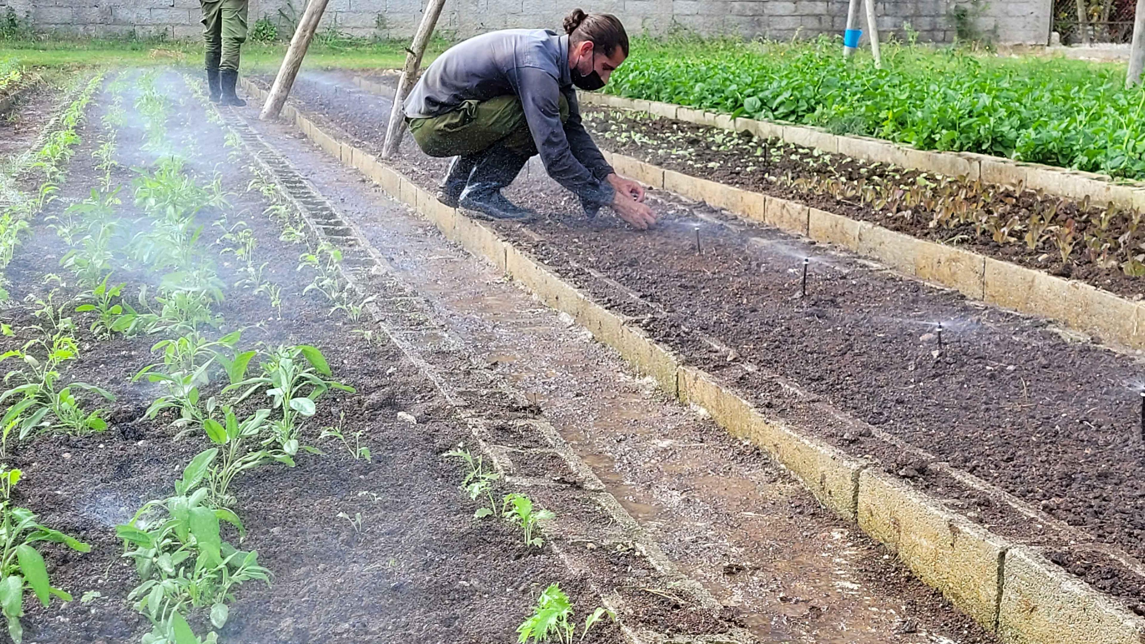 Huertos Agro Ecológicos