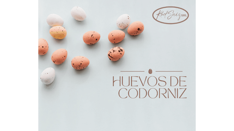 HUEVOS DE CODORNIZ