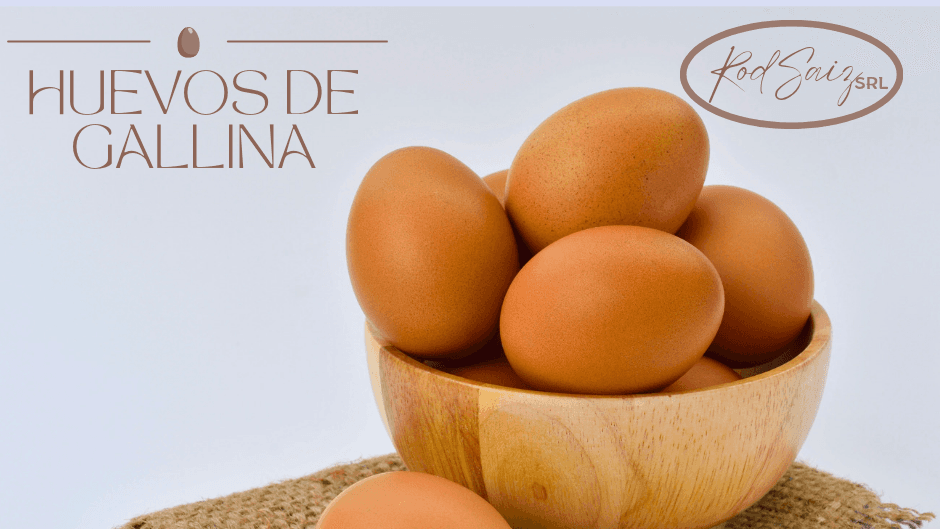 HUEVOS DE GALLINA